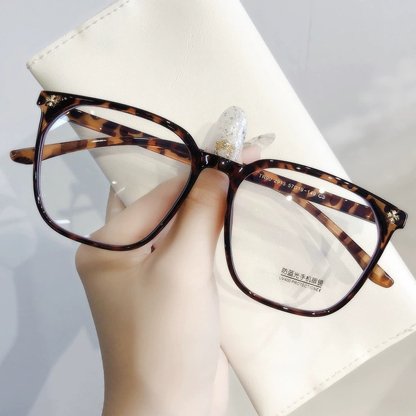 Tortoiseshell frame TR2913