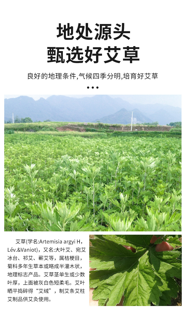 Mugwort Foot Soak Balls with Safflower Ginger and Sichuan Pepper 13g Herbal Foot Bath Ai Cao Pao Jiao Wan overview