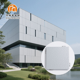 �����X�ΰ嶨���tԺ�WУ�̈����֘Ƿ�̼�_���X�� Aluminum Panels