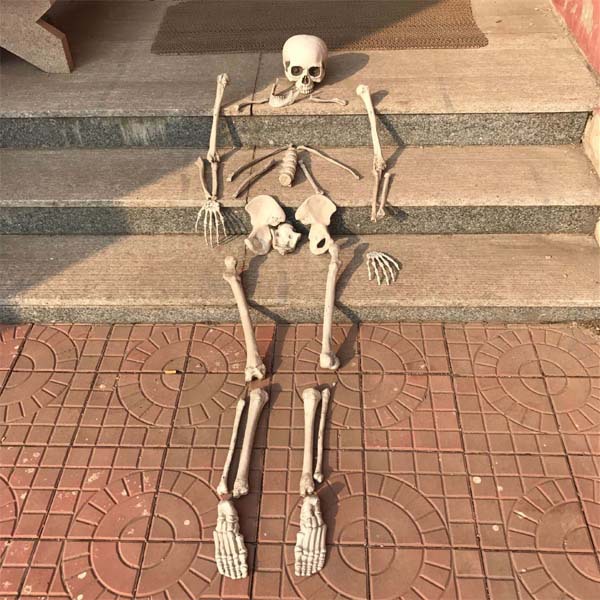 Huesos Decorativos de Utilería Set de 28 Piezas de Plástico para Halloween image 3