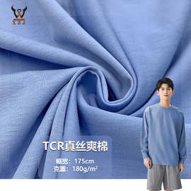TCR真丝爽棉180G 棉+人棉+涤纶混纺针织面料 打底衫上衣套装面料