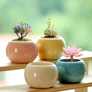 ⻨迨ͨͺsմɱСɐۼb⻨