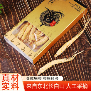 �|���L��ɽ�˅��خa�ׅ���ɢ�b���l�Y�жYƷʳƷ��؛����Ƭ