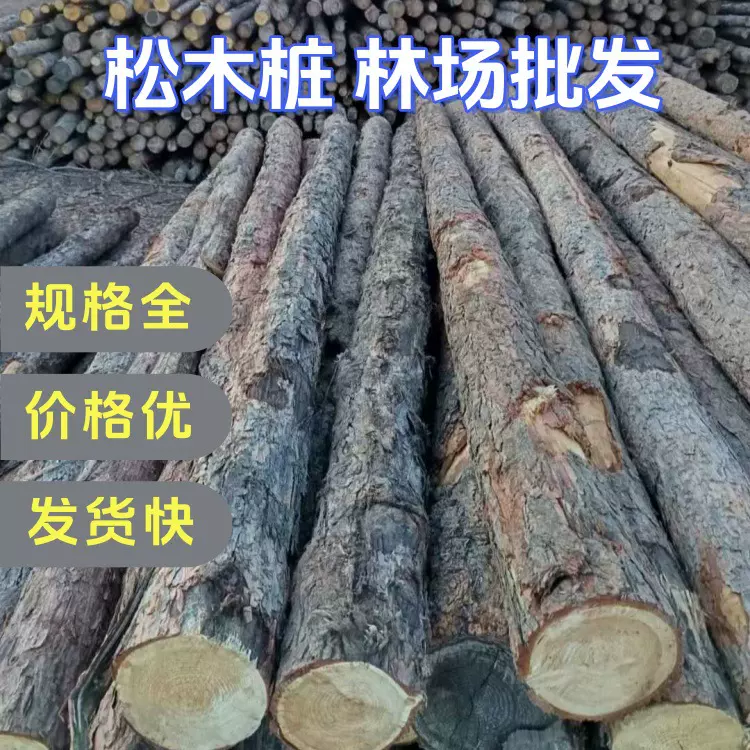 松木桩 河道打桩木 东北落叶松 原木 河道护坡 桩基础 源头厂家批