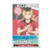 Kozume Kenma