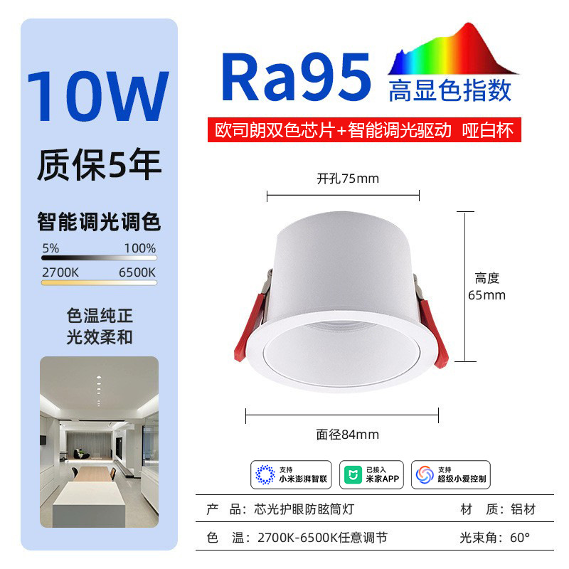 10w matte white connected⼊⽶Home app