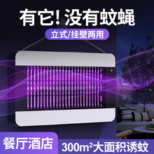 2026�羳��Ʒ���ß������������ó����k����̨ʽ�ڒ��Ϲ��������