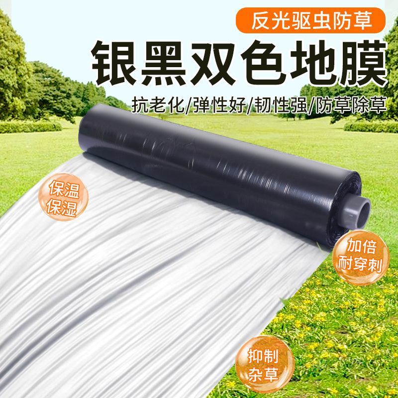 银黑双色地膜大棚反光农用地膜薄膜种植草莓果树防草驱虫抑制杂草