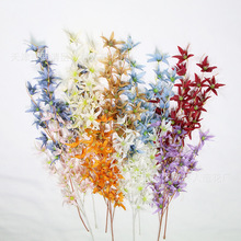 �����P�m��c�b���Ʒ�Ҿӽ����[���Ƶ��������[�S��ֱ���ٻ����l