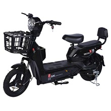 ��ó�������ӥ�綯����Ůͨ�ô����綯�������ճ�ͨ�ڵ綯���г�