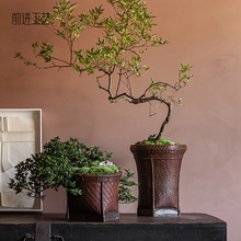 rз¾@ˇ躆sL҃ͨˮ໨軨