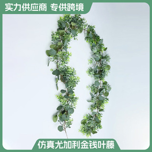 ���R�d��������ȼ�������~�ٗl�҃ȱ������ř��bGֲ���X�~��