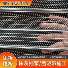 现货免拆镀锌有筋扩张网实心灌浆网膜轻钢别墅工地建筑抹灰挡浆网