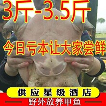 �M�������r��ˮ���۴�I�B���l���A�Mʳ�ü��~���r�r��F�~�~����