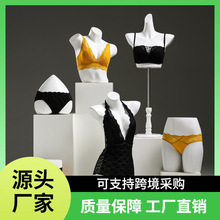 ���b�����ģ��չʾ����Ů�������؃�ѝ��������̨ģ�͵���ȫ��