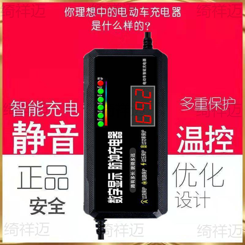 アクティブバッテリー修理装置電気自動車充電器 48V60v72v パルスメンテナンスバッテリー鉛蓄電池|undefined