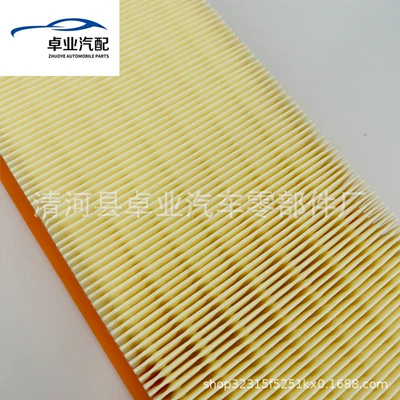 Air filter of Passat Air Filter