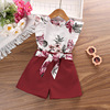 Set, summer children's clothing, jacket sleevless, children's clothing, wholesale