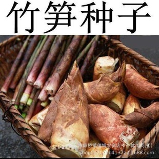 ���S���S��S�N�� С��S��ë��S�N�ӱ޹S����S�N�Ӹ�ɽ�S�N��