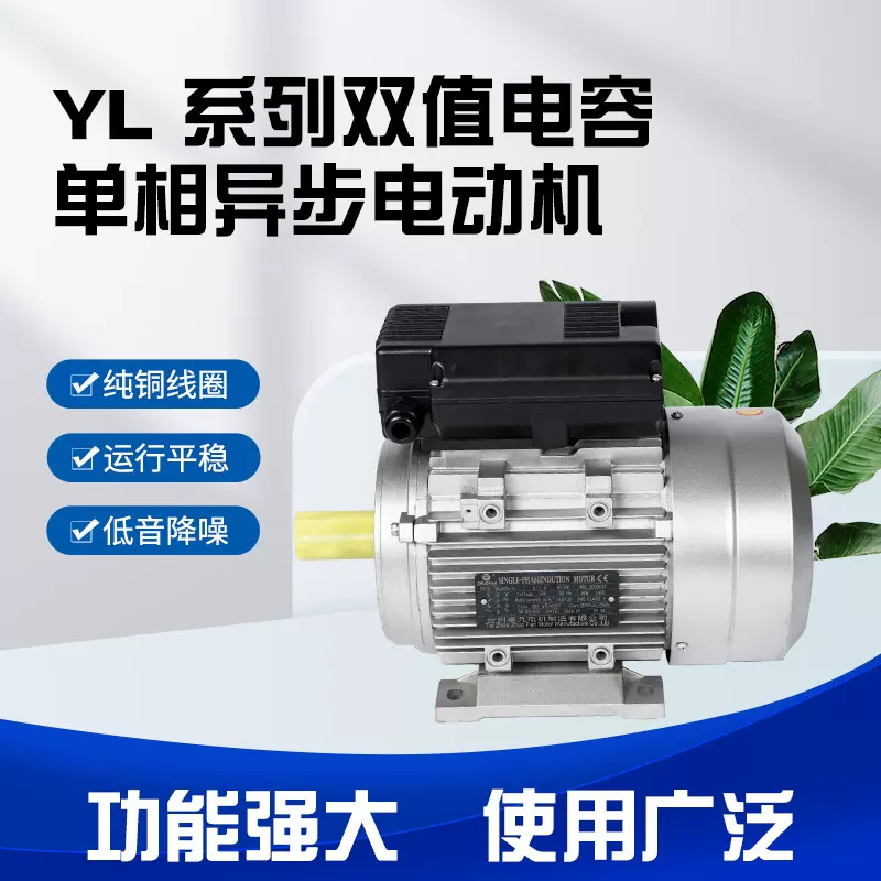 厂家货源单相异步双值电动机B3卧式纯铜铝壳IE4高能效电机
