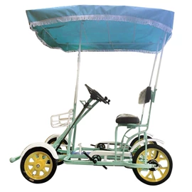 双人自行车;其他非机动车;亲子车