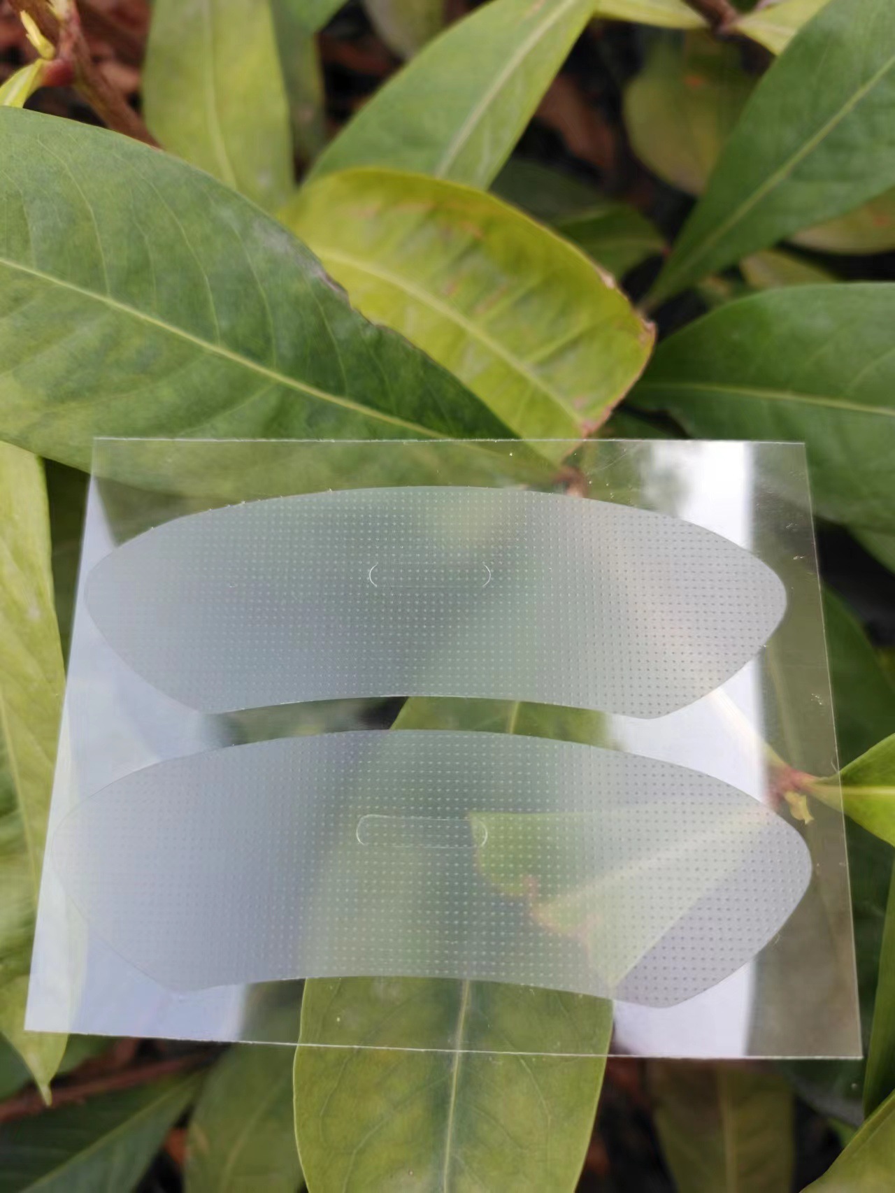 微信图片_20230603144330