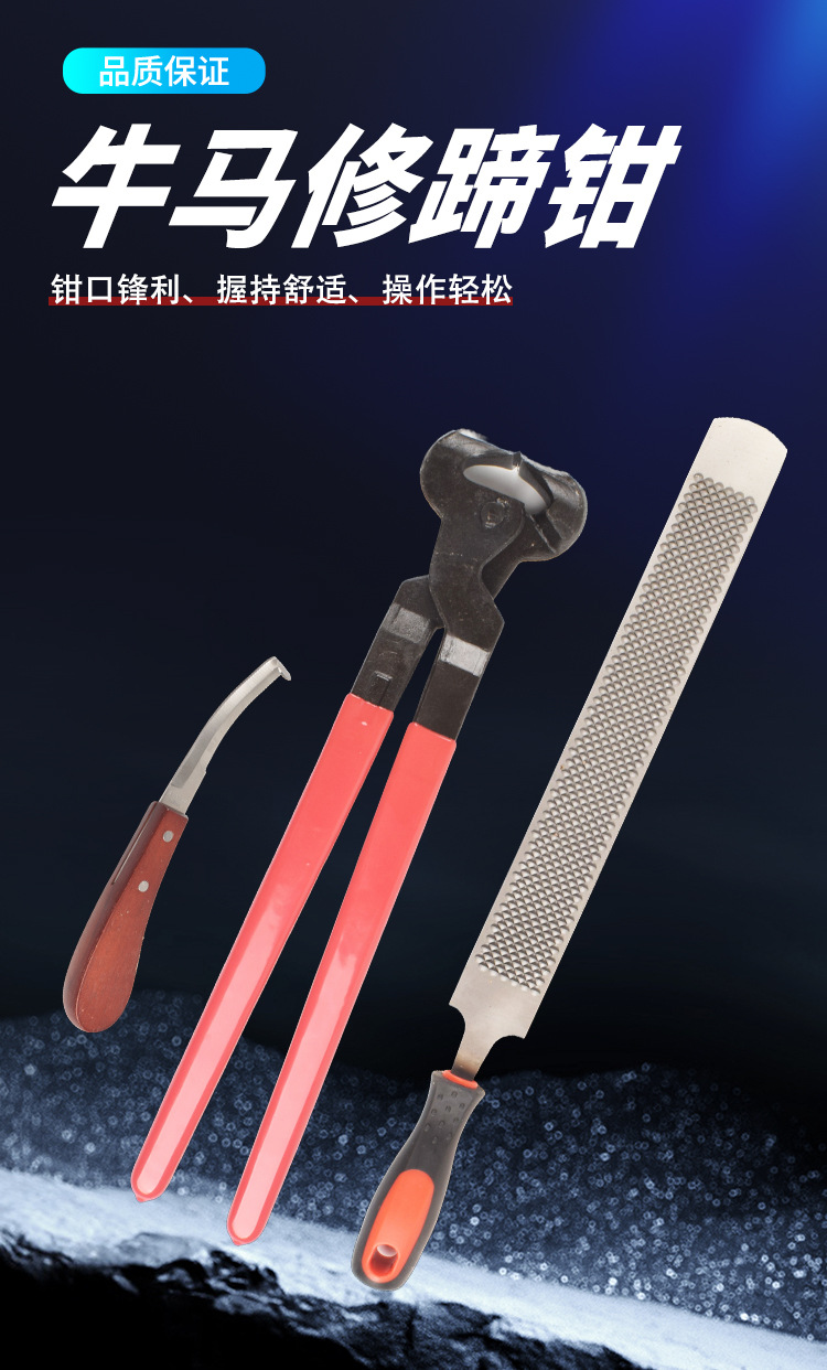 详情_02.jpg