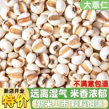 贵州大薏仁米新米生薏米五谷杂粮糯意薏苡仁配赤小豆茶打豆浆煮粥