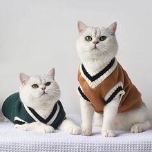 猫衣服保暖猫咪英美短春夏秋冬季宠物狗狗幼小猫蓝猫布偶猫防掉毛