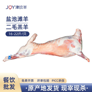 �����}�؞����ë����חl�������wȫ����ֻС����ȫ�����ʳ��