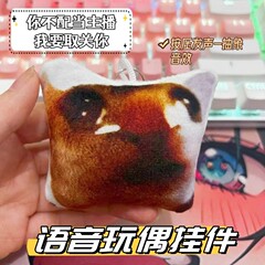 クリエイティブな子猫はアナウンサーの音声ペンダントの抽象的な音響音になる資格がない
