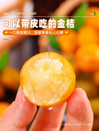 西式糕点;饼干;传统糕点