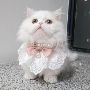 ����؈���·����b���b��Ů��ż؈�ļ�С؈��؈����ȹ���b�Ʒ�b��