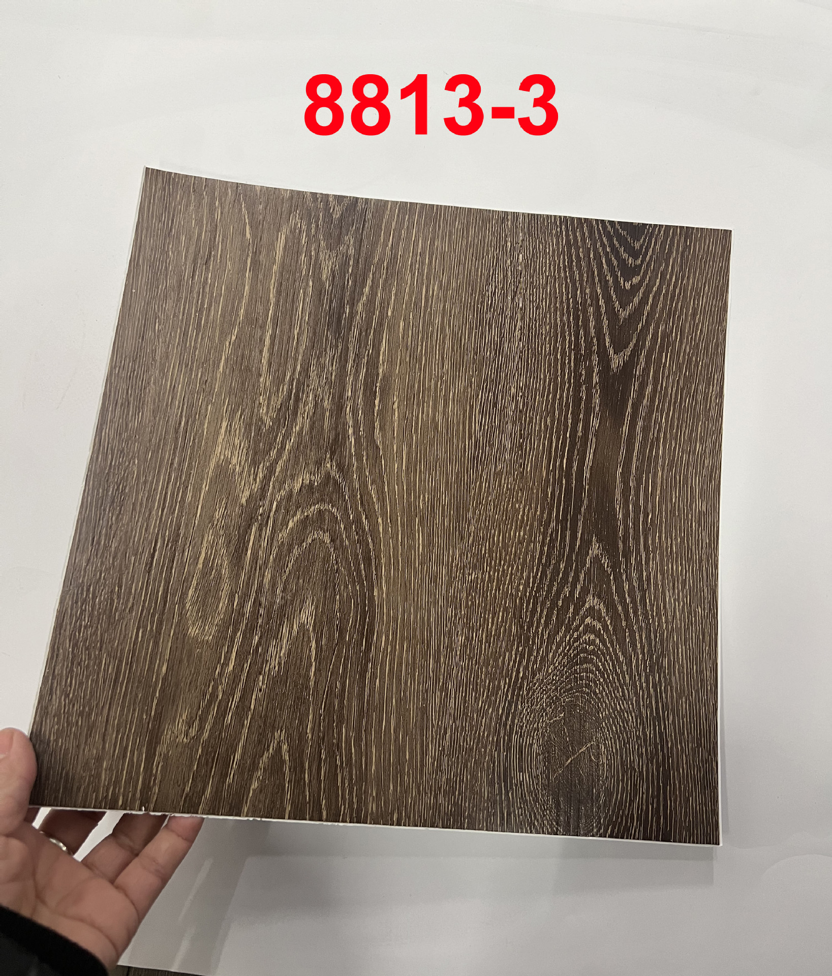 8813