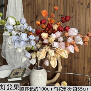 ���\����ĭľ�޹���c���滨�Ҿ��b��Wins�W�t��ɫ����������