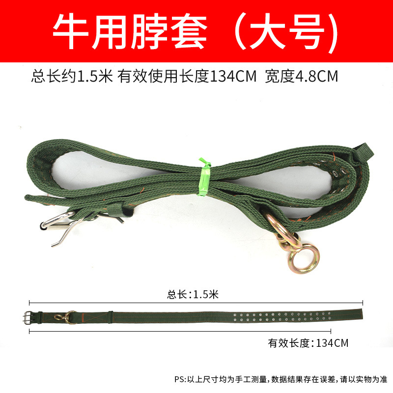 Cabeza de jaula de buey, cuello de buey, cuello de buey