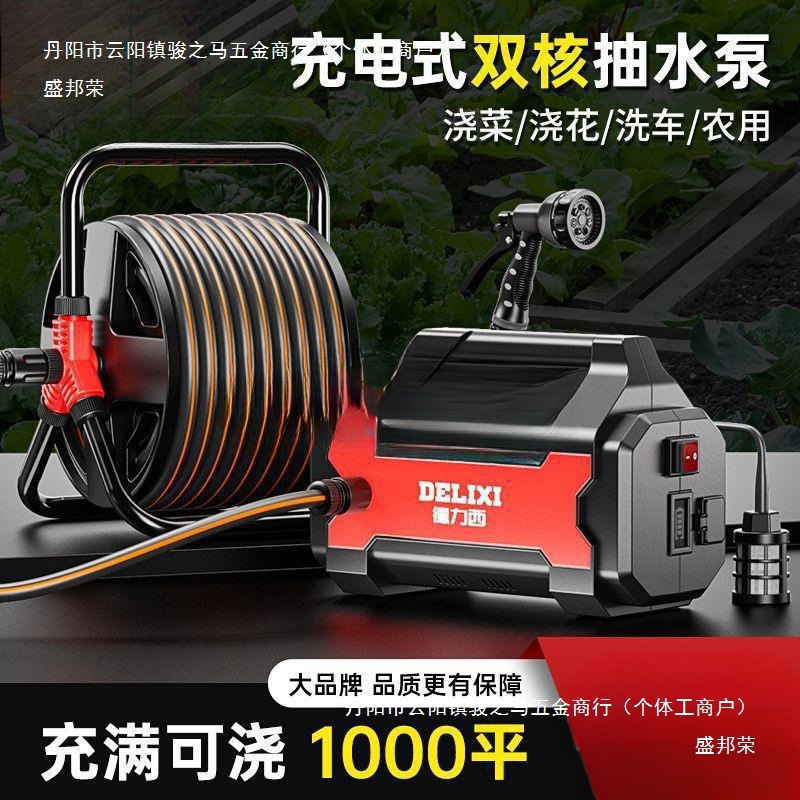 抽水泵农用自动浇水机浇菜水泵锂电池充电式菜地机灌溉德力西普通