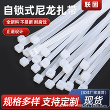 �S��ֱ�l��������100�l���l ���Qֱ�����i�����l���I����������