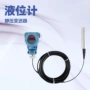 投入显示水位液位液位计