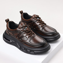 2025ﶬ¿ϵЬɫЬƤ͸eߙnٴװЬʿ