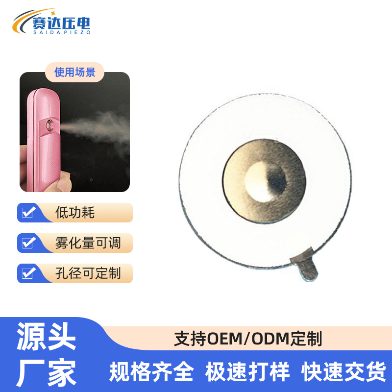 家用多功能毛孔清洁震动导入加湿香薰美容补水仪usb微网雾化片