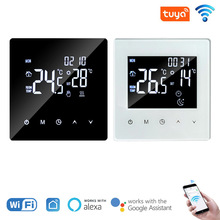 ¿|WiFiůؿ Tfhapp늵ůؿˮů