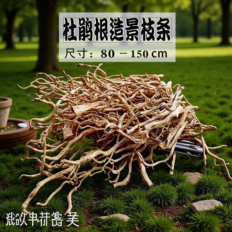 Aquarium Landscaping with Rhododendron Root Branches, Decorative Indoor Eco-Rainforest Engineering Root Strips, and Driftwood for Landscaping