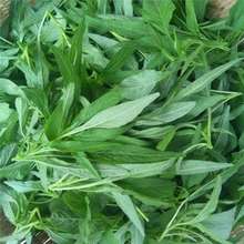 ~{˷N h˷N ߮a͟ͺļr@߲˷N