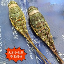 �����rԽ�����rС��������Ƙ�ʳ�����l���r�ك����rˮ�a��؛