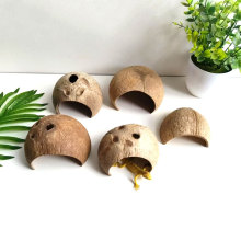 Ҭ���}���ܸC�،m����֩����ϐ�Ӷ���݂}���þ߷�ֳ�CҬ�����