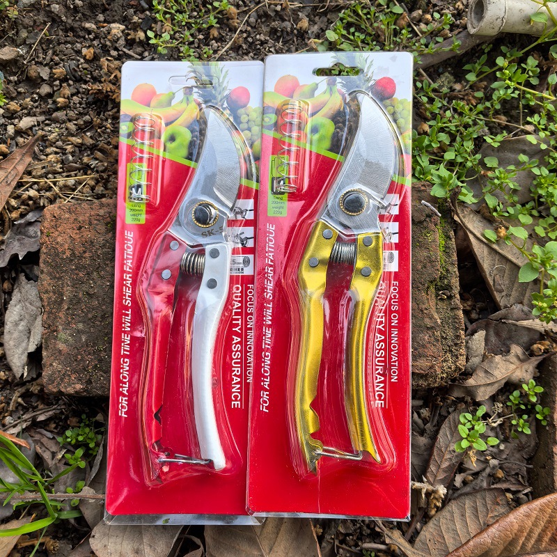 微信图片_20250302144736