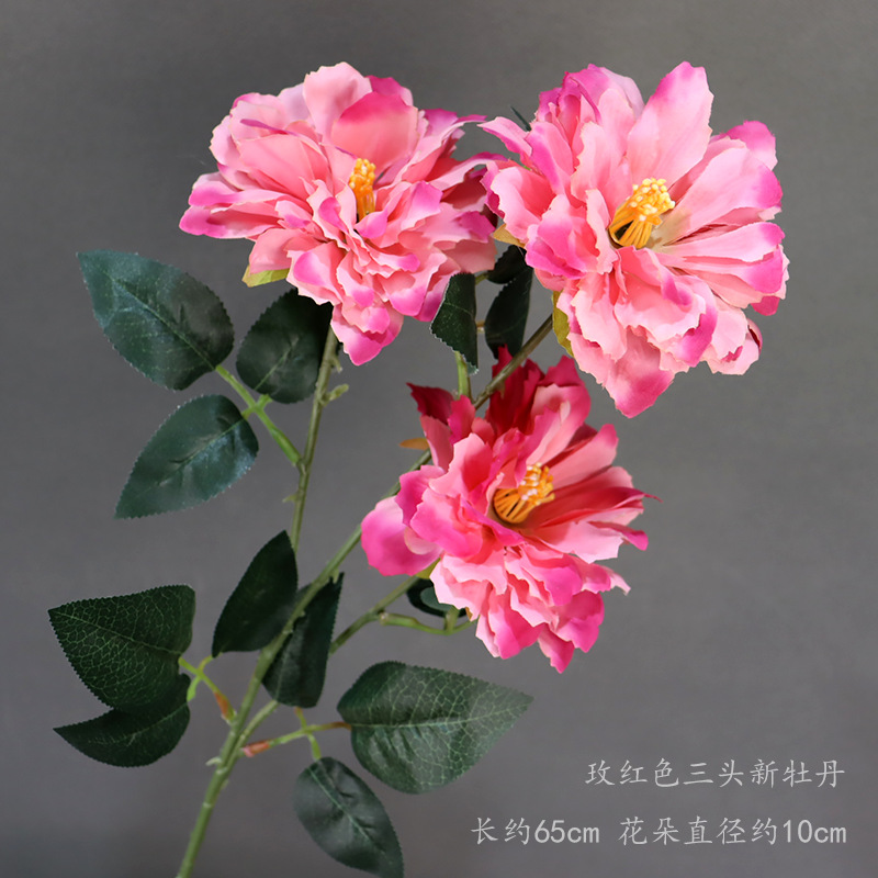 Rosa roja de tres cabezas nueva peonía