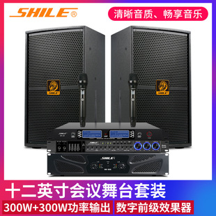 Conference Audio Set Lion Music BM99 Professional KTV Stage Return Speaker Amplifier Effector Wireless Microphone