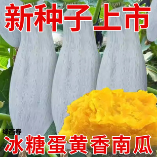 �F���ϹϷN�ӹ����Ŵ�d�������̨��@���ﲥ�N�Ϲ��N��